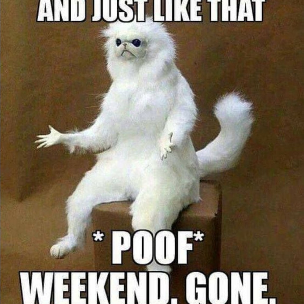 Meet your Posher, Dianne